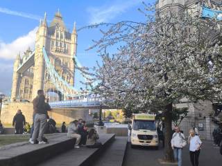 IMG-20260417-WA0065_original