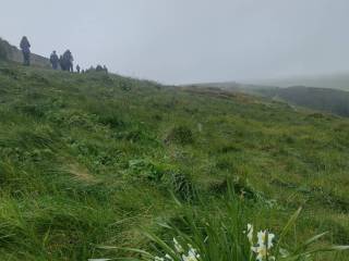 IMG_20260415_105638420_HDR_original